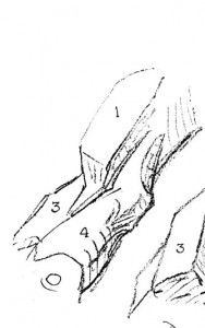 Bridgman Sample 3 Bridgman Sample 3